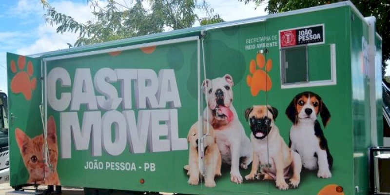 Semam finaliza castração de animais da área do Almeidão, em João Pessoa