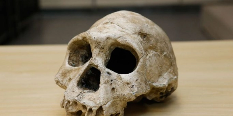Brasileiros realizam descoberta que pode mudar a história da humanidade 
