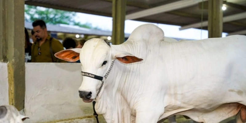Vice-governador abre 53ª Exposição de Animais e Produtos Industriais em Campina Grande