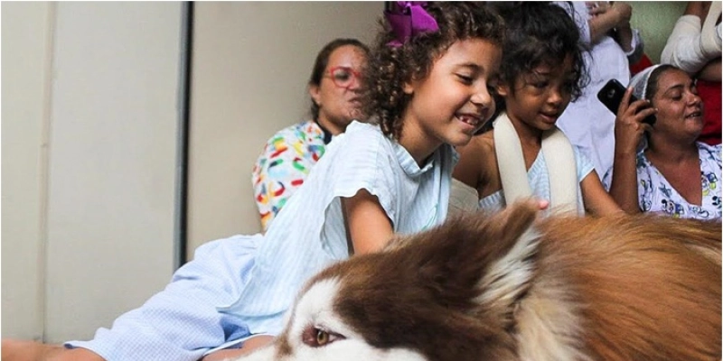 Hospital de Trauma inicia terapia com cães para auxiliar em tratamentos