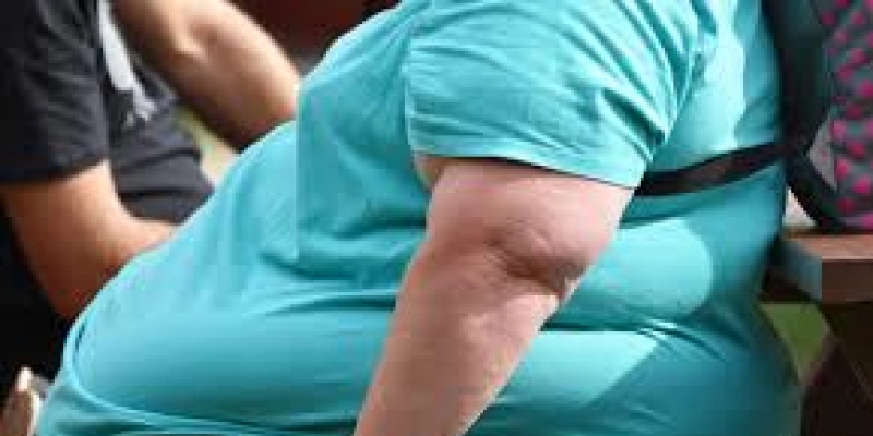 Obesidade afeta um em cada cinco brasileiros e aumenta risco de doenças graves como diabetes e câncer