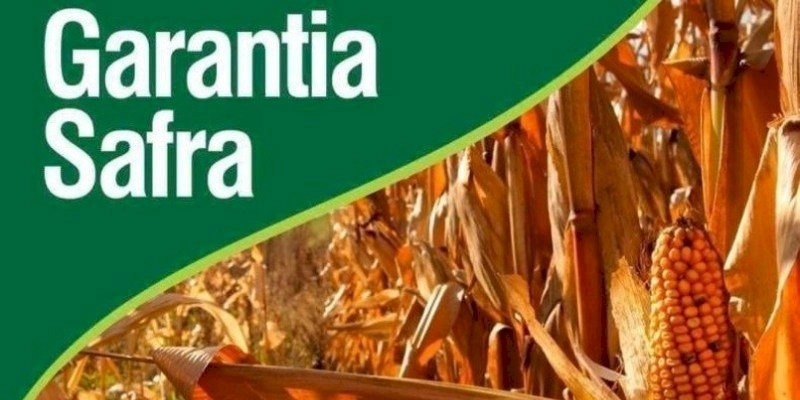 São José da Lagoa Tapada está incluída entre os 58 municípios beneficiados com pagamento do seguro-safra 2019/2020