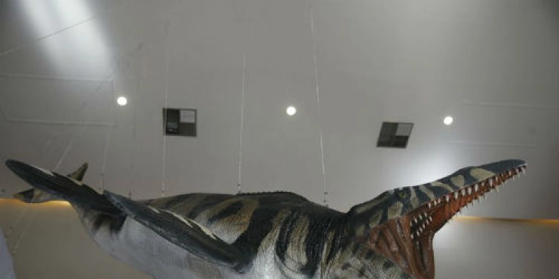 Museu Nacional revela achados na Antártica em 1ª mostra pós-incêndio