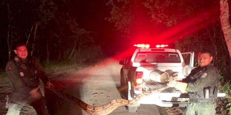 Polícia Ambiental captura três cobras no meio urbano no fim de semana