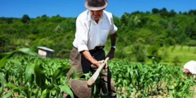 Agricultores de Marizópolis não terão direito ao programa garantia safra, prefeitura explica o motivo; veja 