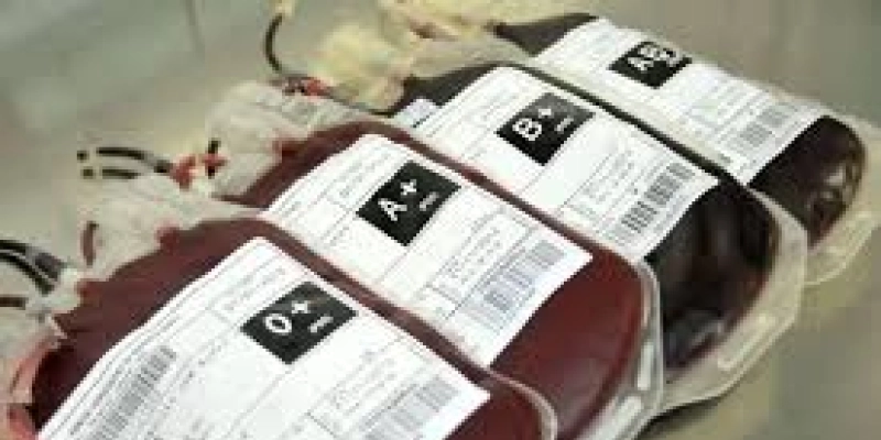 Queda na doação de sangue devido à pandemia preocupa hemocentros