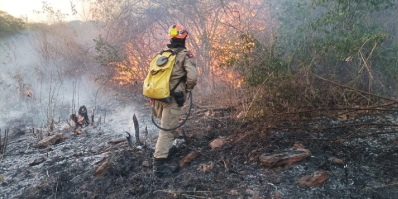 Força-tarefa tenta controlar incêndio no entorno do Parque Estadual Serra da Santa Catarina