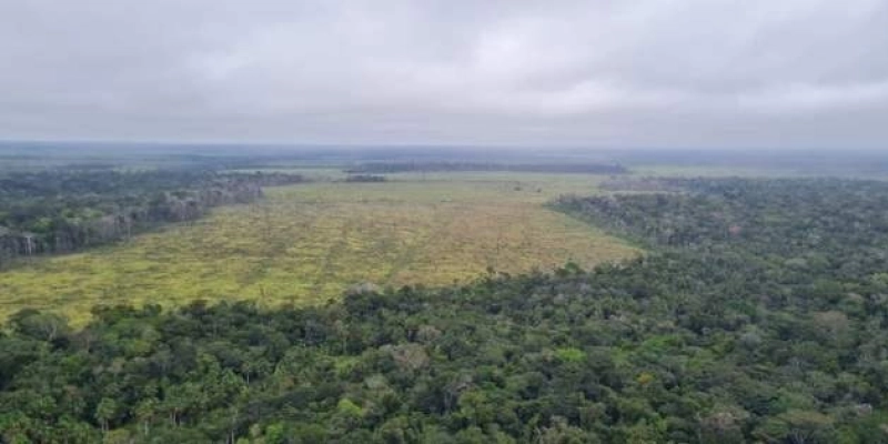PF deflagra duas operações contra desmatamento e lavagem de dinheiro