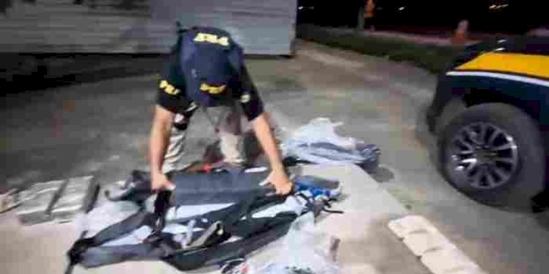 PRF na Paraíba apreende mais de 22 kg de maconha, recupera uma moto e resgata ave silvestre