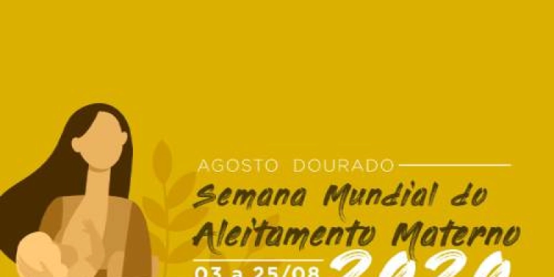 Governo realiza capacitação sobre amamentação e nutrição do bebê