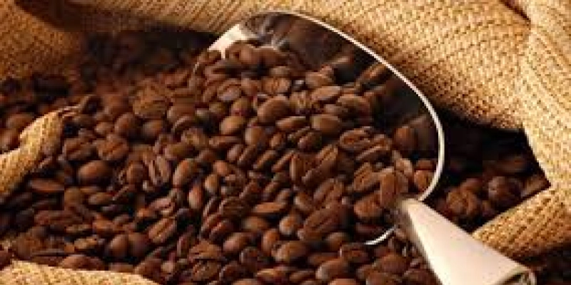 Produção dos Cafés do Brasil equivale a 36% da produção mundial em 2018