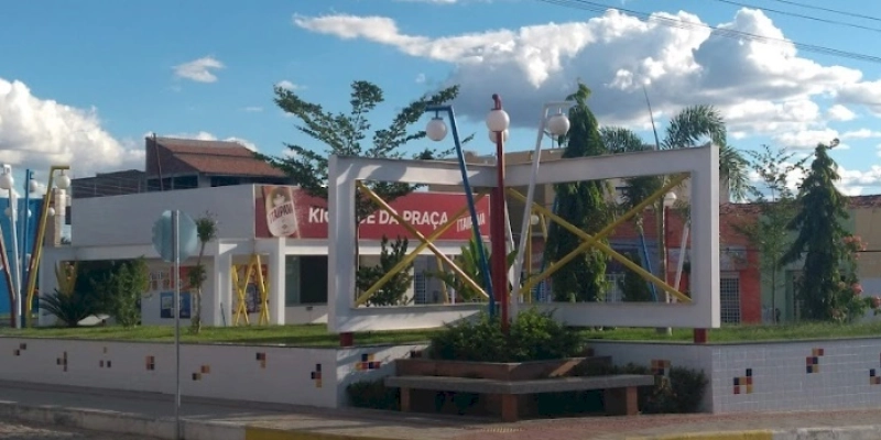 Animais que estiverem soltos em ruas e avenidas serão recolhidos pela prefeitura de Aparecida; entenda 