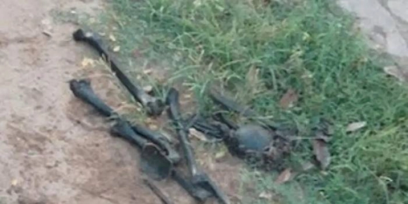Ossada humana é encontrada dentro de saco, no interior da Paraíba
