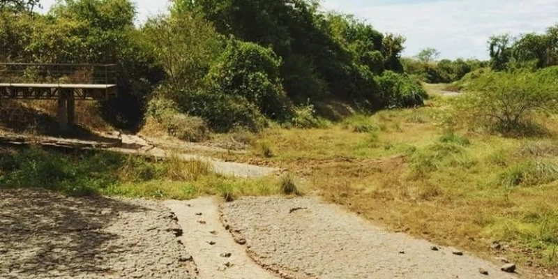 Jardim Botânico e Vale dos Dinossauros abrem para visitação no Dia de Finados