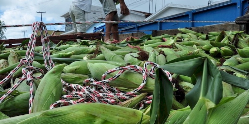 Empaer instala Feira do Milho durante período de festas juninas