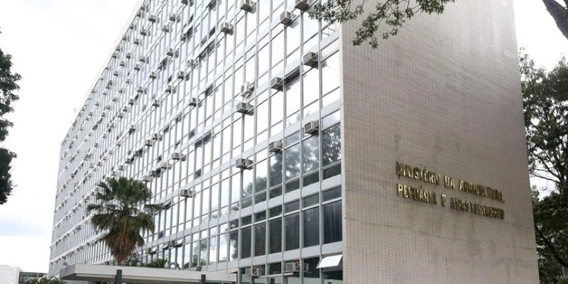 Ministério confirma casos de vaca louca em Mato Grosso e Minas Gerais