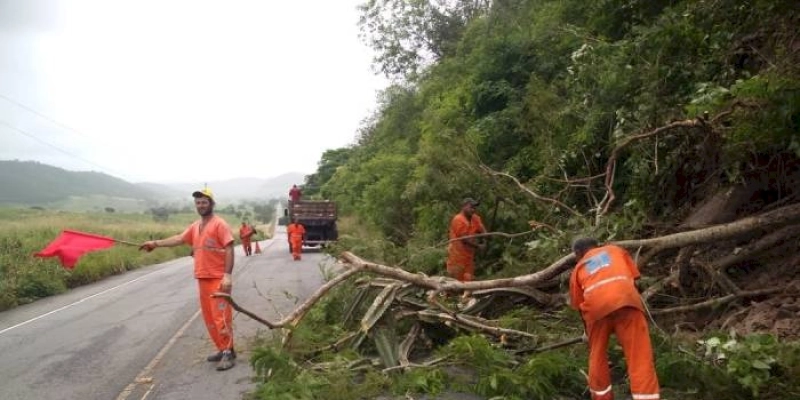 DER alerta motoristas sobre deslizamentos e queda de árvores em rodovias nos dias de chuva