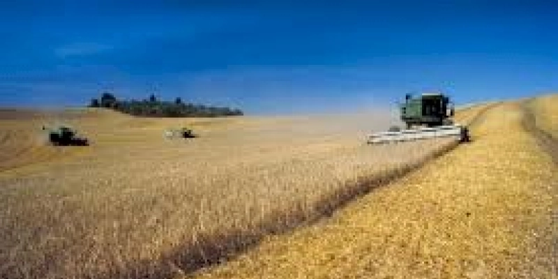 Trabalhadores pedem redução de juros para produzir alimentos no Brasil