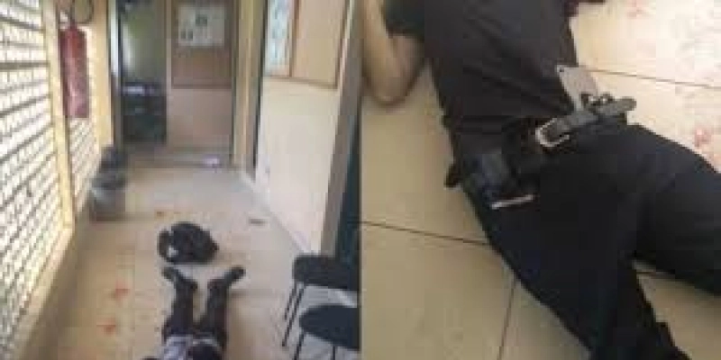 Jovens usaram revólver e arma medieval durante ataque em Suzano