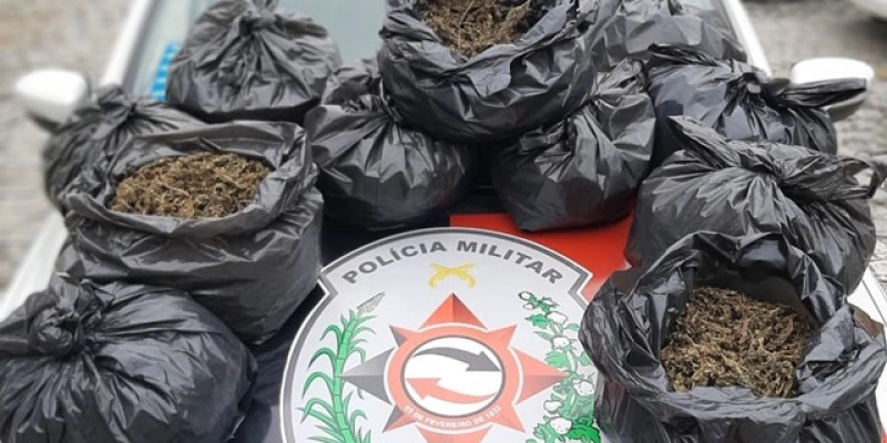 Polícia apreende 9 kg de maconha na manhã deste domingo