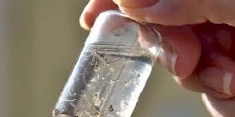 NORDESTE: Com período chuvoso, aumentam riscos de dengue, zika e chikungunya