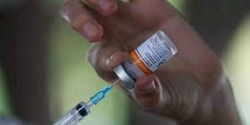 Pfizer entrega mais 629 mil doses da vacina contra a covid-19