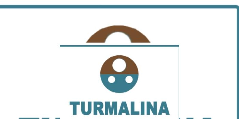 Robô Turmalina do TCE monitora sites de transparência e constata problemas na divulgação de informações