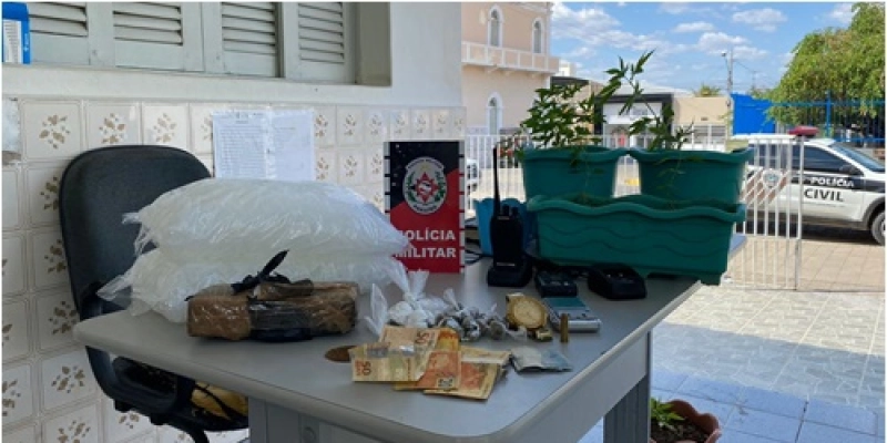 Após ligação anônima, PM apreende pés de maconha e desarticula ponto de venda de drogas, em Pombal 