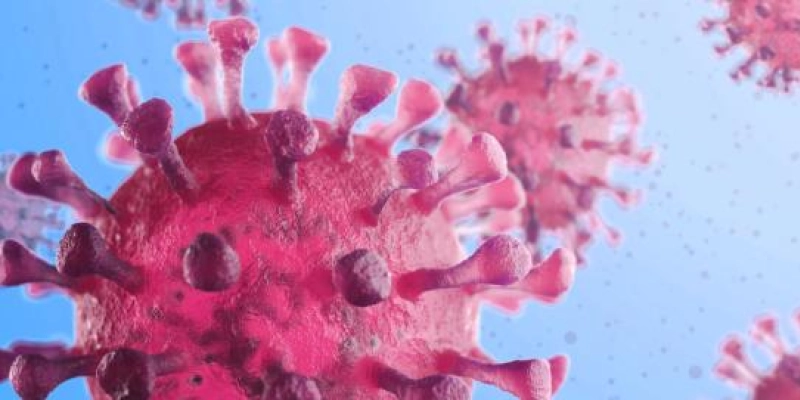 Coronavírus: Paraíba desenvolve ferramenta para agilizar atendimento a pacientes 