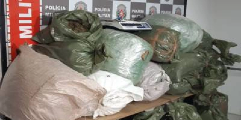 Polícia Militar intercepta carregamento de drogas e apreende mais de 200 quilos de maconha