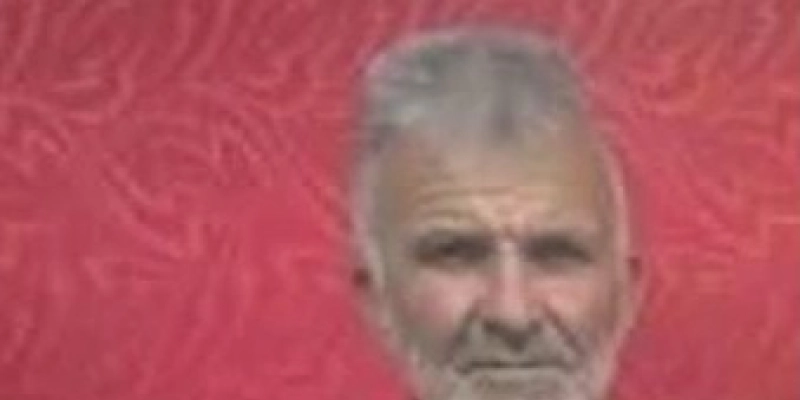 Caçador morre vítima de ataque de abelhas na zona rural de Lagoa 