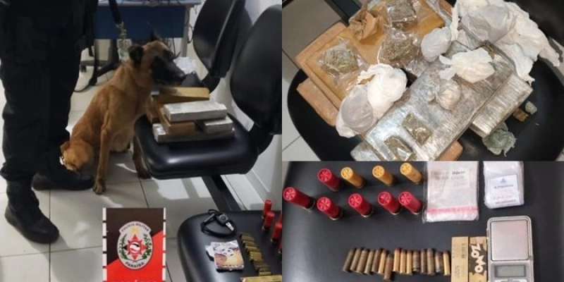 Com auxílio da cadela Dori, Polícia Militar apreende drogas e munições