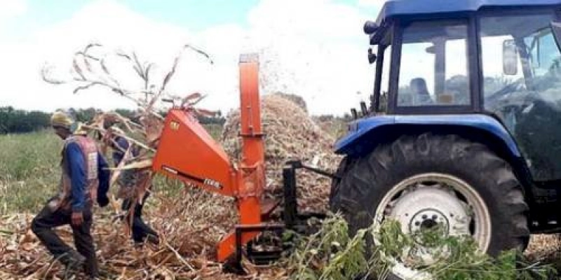João Neto diz que tem sido uma grande alegria acompanhar e constatar o desempenho proativo da Secretaria de Agricultura e Meio Ambiente de Aparecida