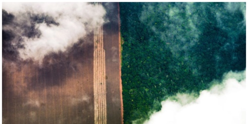 Cepal recomenda agricultura sem queimadas na Amazônia