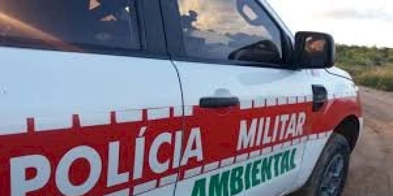 Batalhão de Polícia Ambiental resgata 26 animais silvestres no meio urbano durante o fim de semana