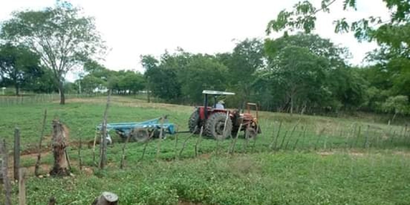 Prefeitura de São José de Piranhas realiza “corte de terra” para agricultores e distribui 2,5 mil kg de sementes; Veja