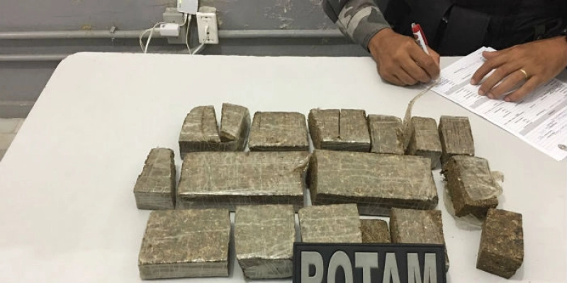Polícia Militar apreende maconha enterrada em curral que criava cavalos e galinhas na PB
