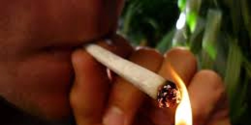 Em vez de reduzir danos, maconha pode piorar vício em cocaína e crack, diz estudo