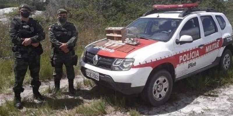 Mais de dez aves silvestres são apreendias pela polícia em feira livre 