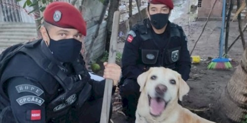 Cão farejador da Polícia Militar encontra arma usada por traficantes da zona sul de João Pessoa