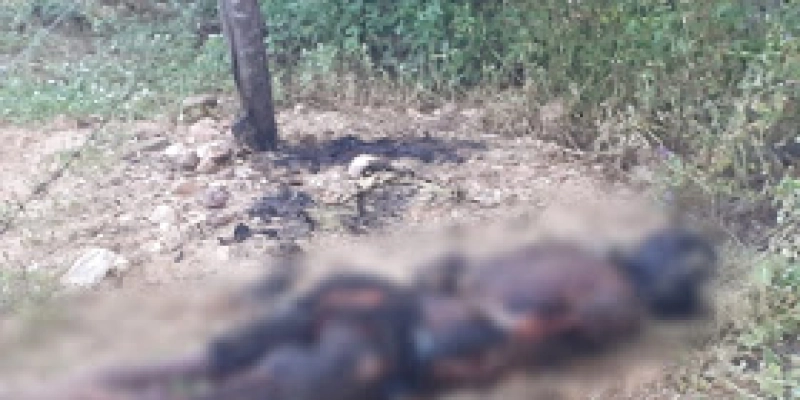 Corpo é encontrado com mãos e pés amarrados e carbonizado na Paraíba 