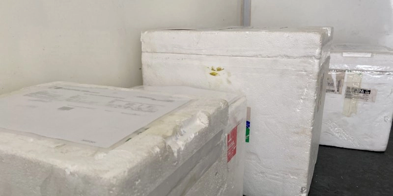 Pfizer antecipa entrega de doses da vacina pediátrica contra covid-19