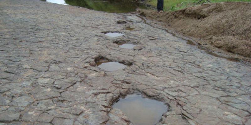 Cientistas alertam sobre desaparecimentos das pegadas de Dinossauros em Sousa