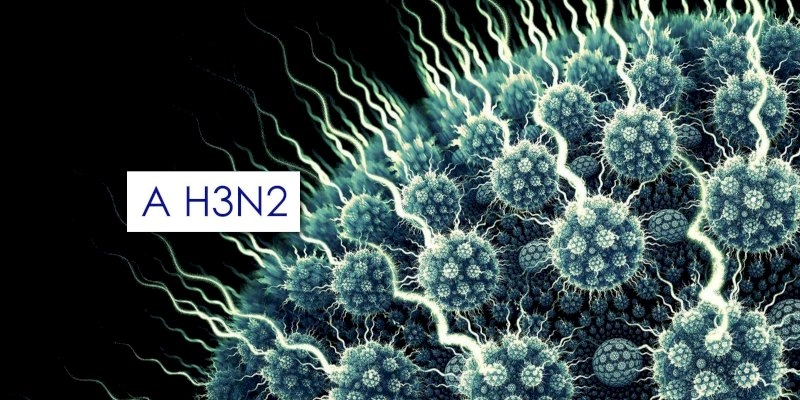Quatro estados brasileiros registram óbitos causados pela nova cepa H3N2 do vírus Influenza