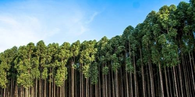 Indústria brasileira faz a sua parte na redução de emissões