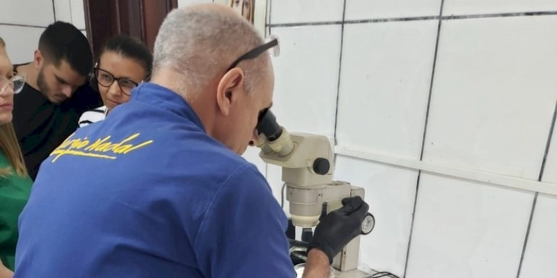 Governo avança com programa de melhoramento genético de caprinos e ovinos