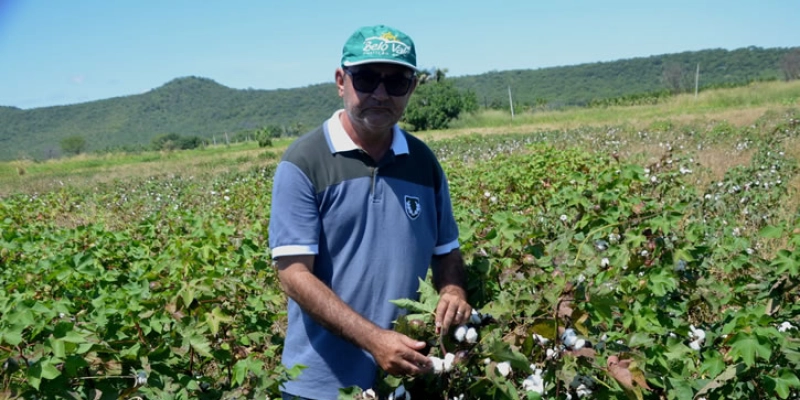 Projeto “Ouro Branco” amplia sua área, trouxe esperança para os Irrigantes de São Gonçalo, e expectativa de produção alta em Sousa; Vídeo 