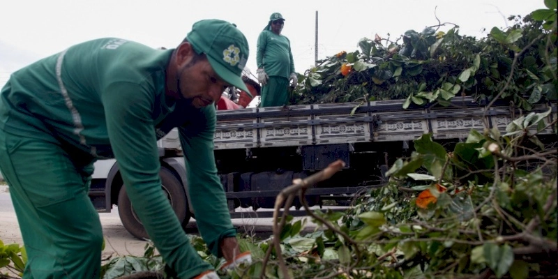 Emlur recolhe resíduos de poda de árvores em seis bairros nesta quarta-feira