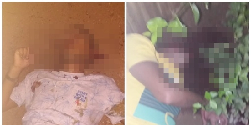 Irmãos são assassinados com vários disparos de arma de fogo no município de Catolé do Rocha 