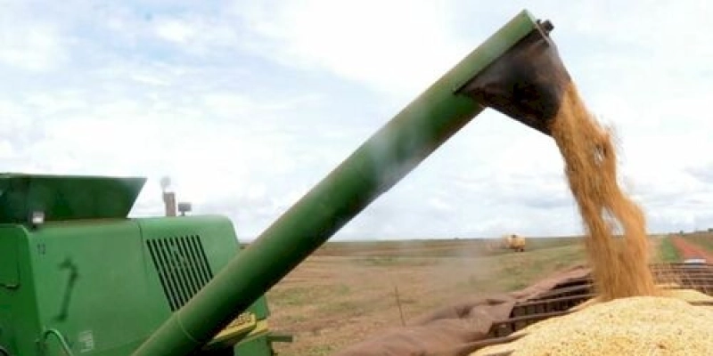 Agro: Conab prevê aumento de 15% na safra de grãos 2022/23